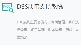 DSS决策支持系统